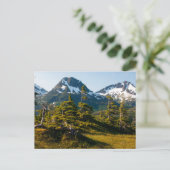 コルドバ近くのエクルズ山, アラスカ州 ポストカード (スタンド正面)