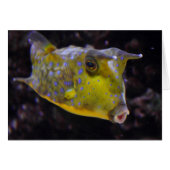 コルヌタ湖 (正面横)