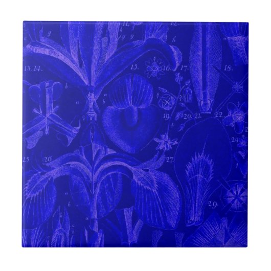 コルバルト青タイル タイル (正面)