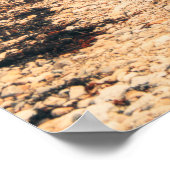 コルパッチレック ポスター (角)