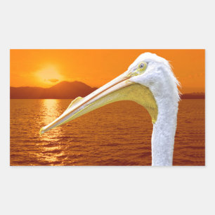 コルフのアメリカの白いペリカンの夕日 長方形シール