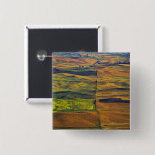 コルファクスのステプト·バッテのパルウス 缶バッジ (正面&裏面)