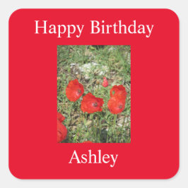 コルフレッドポピースシール スクエアシール