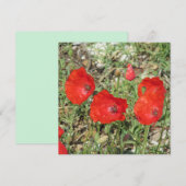 コルフレッドポピーズフラットカード (正面/裏面)