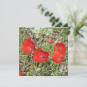 コルフレッドポピーズフラットカード (スタンド正面)