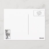 コルフ旧要塞はがき ポストカード (裏面)