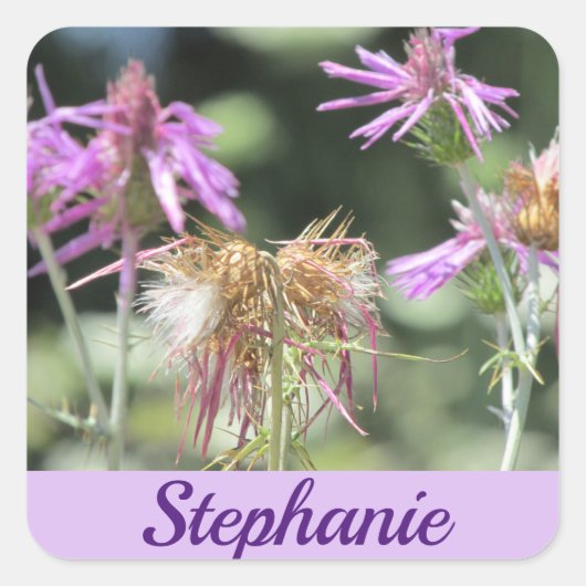 コルフ薄紫野草 スクエアシール (正面)