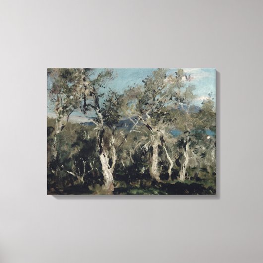 コルフ、オリーブ1912年 キャンバスプリント (正面)