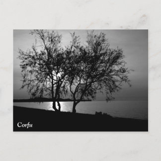 コルフ・タイムズ ポストカード