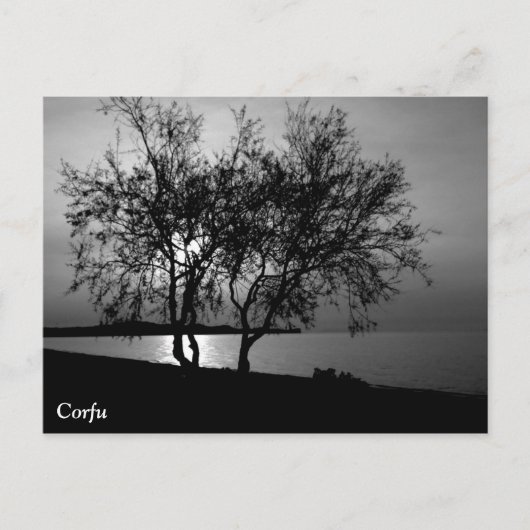 コルフ・タイムズ ポストカード (正面)