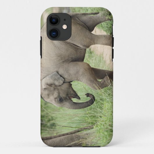 コルベットの母ゾウに続く子ゾウ Case-Mate iPhoneケース (裏面)