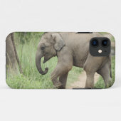コルベットの母ゾウに続く子ゾウ Case-Mate iPhoneケース (裏面(横))