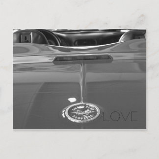 コルベット愛 ポストカード
