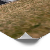 コルベットC7 Z06 ポスター (角)