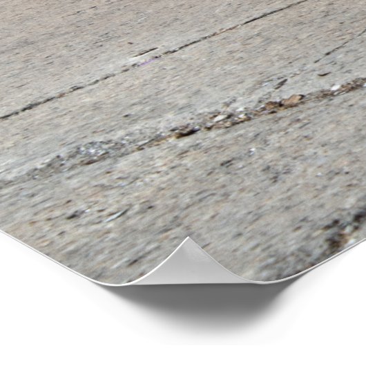 コルベットC7 Z06 ポスター (角)