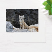 コルペス (デスク)