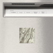 コルマール マグネット (インサイチュ (食洗機))