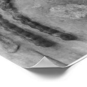 コレはポロを着てコレと呼ばれる ポスター (角)