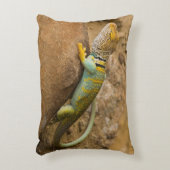 コレイトカゲ アクセントクッション (正面(垂直))