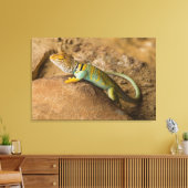 コレイトカゲ キャンバスプリント (インサイチュ (リビング))