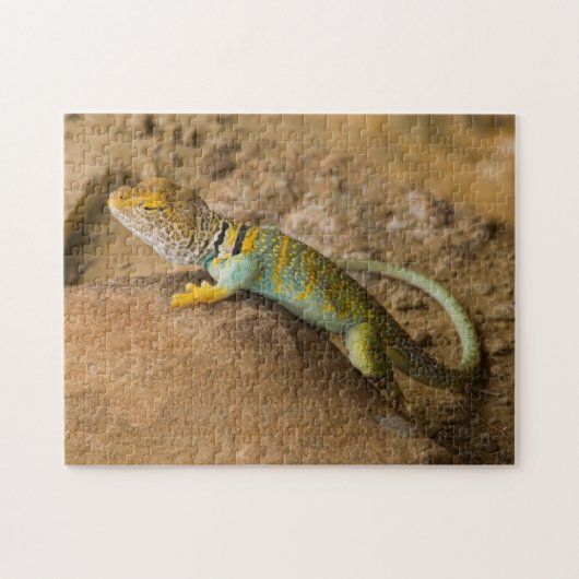 コレイトカゲ ジグソーパズル (横)