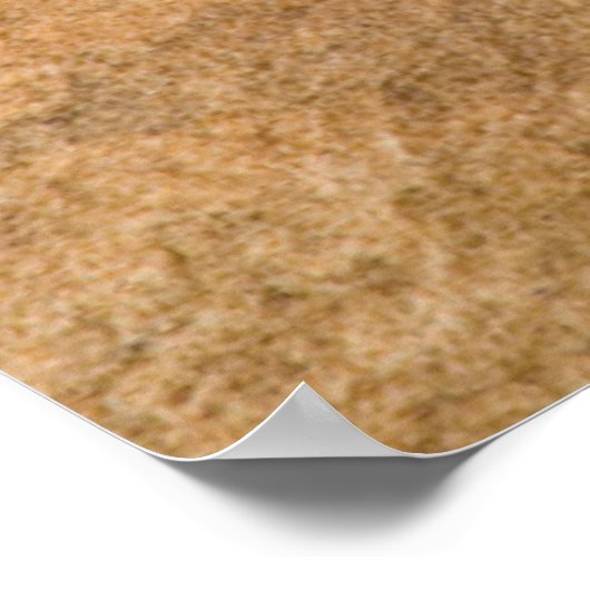 コレイトカゲ ポスター (角)