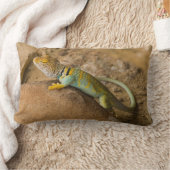 コレイトカゲ ランバークッション (ブランケット)