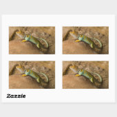 コレイトカゲ 長方形シール (シート)