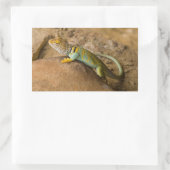 コレイトカゲ 長方形シール (バッグ)