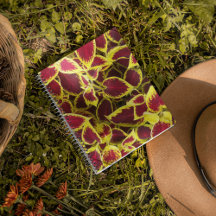 コレウカラフルス植物葉フローラ手帳