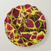 コレウカラフルス植葉物フローラ ラウンドクッション (裏面)