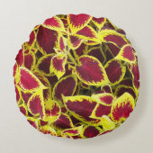 コレウカラフルス植葉物フローラ ラウンドクッション (正面)