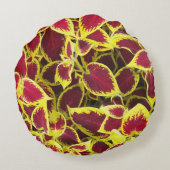 コレウカラフルス植葉物フローラ ラウンドクッション (裏面)