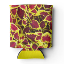 コレウカラフルス植葉物フローラ