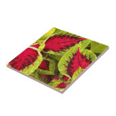 コレウカラフルス葉フローラ タイル (側面)