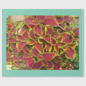 コレウスフラワーパッチラッピング紙 ラッピングペーパー (フラット)