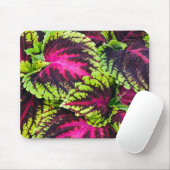 コレウス葉植物 マウスパッド (マウス)