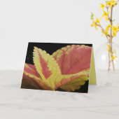 コレウス離れ カード (黄色い花)