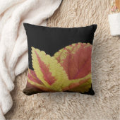 コレウス離れ クッション (ブランケット)