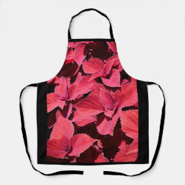 コレウス・クローズアップ エプロン