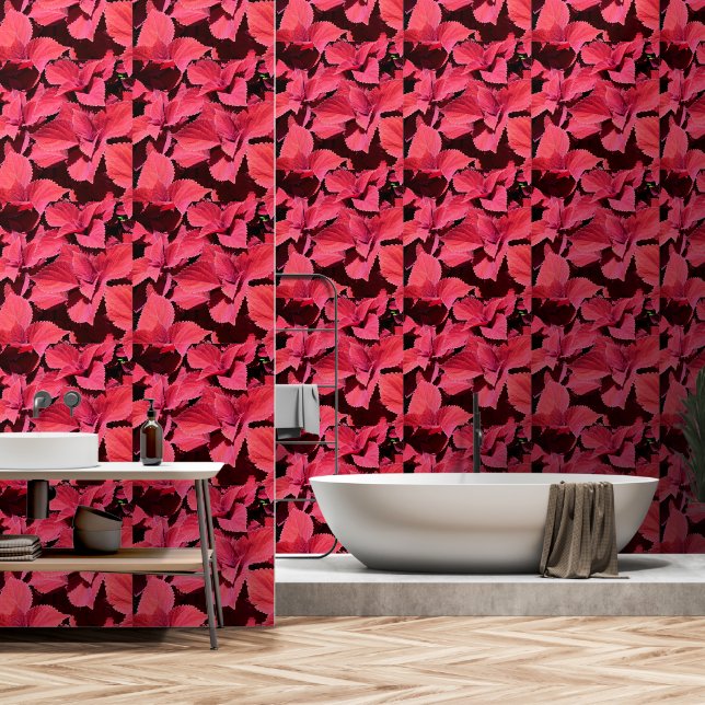 コレウス・クローズアップ 壁紙 (浴室)