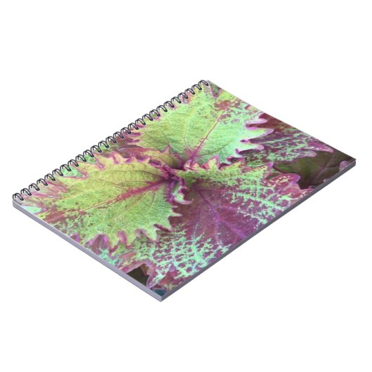 コレウス ノートブック (左側)