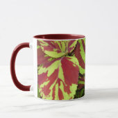 コレウス マグカップ (左)