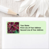 コレウス ラベル (インサイチュ)