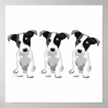 コレクションデザインローズプラチン®