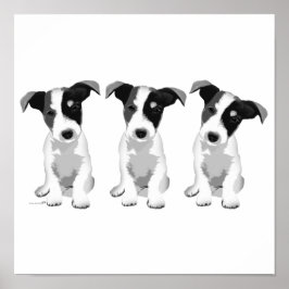 コレクションデザインローズプラチン® ポスター