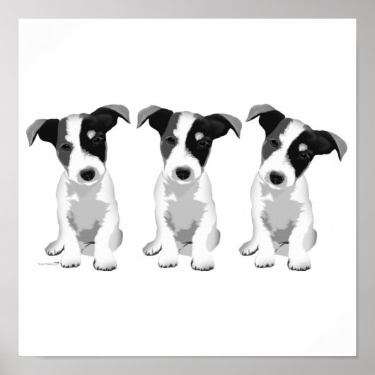 コレクションデザインローズプラチン® ポスター (正面)