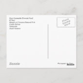 コレクション：ベネズエラカリブのーa... カスタマイズ -  ポストカード (裏面)