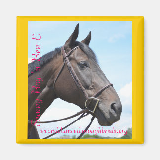 コレクタブルマグネットシリーズ – サニーボーイアンBen E マグネット