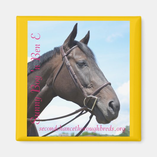 コレクタブルマグネットシリーズ – サニーボーイアンBen E マグネット (正面)